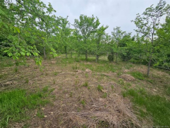 24 Holly Rd, Henryetta, OK 74437